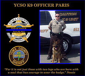 K-9 Paris End of Watch